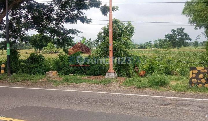 Jual Tanah Raya Banyuwangi Dekat Kantor Pdam Wongsorejo 3