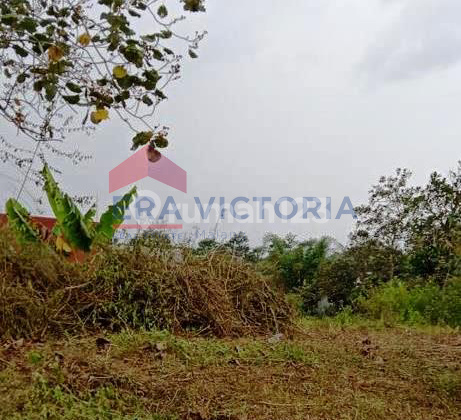 Dijual Tanah Kavling Dekat Bns Dan Jatim Park 2 Kota Batu Dijual Tanah Kavling Dekat Bns Dan Jatim Park 2 Kota Batu