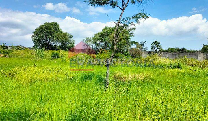 Tanah Sebrang Kebun Raya Purwodadi Cocok Untuk Ruko Oleh Oleh 2