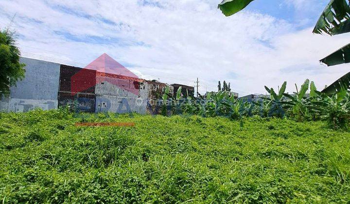 Tanah Luas Di Pinggir Jalan Besar Mastrip Tengah Kota Probolinggo 1