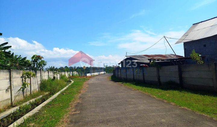 Tanah Kebun Salak Lokasi Sebrang Kebun Raya Purwodadi Pasuruan 2