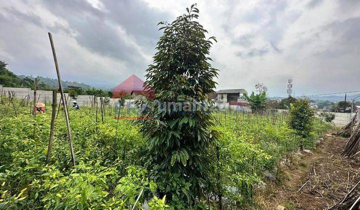 Tanah Luas Sudah Tembok Keliling View Gunung Di Sumbersekar Dau 2