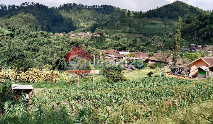 Jual Tanah Luas View Cantik Dekat Wisata Paralayang Bumiaji Batu