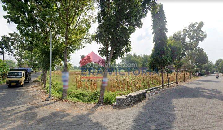 Dijual Tanah Luas Pandaan Pasuruan Lokasi Jalan Akses Ke Bangil 1