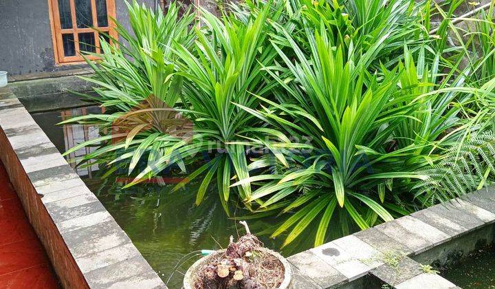 Rumah Asri Ada Kolam Ikan Harga Murah  1