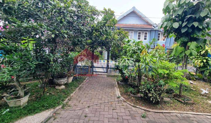 Jual Murah Rumah Hook Layout Luas Asri  1