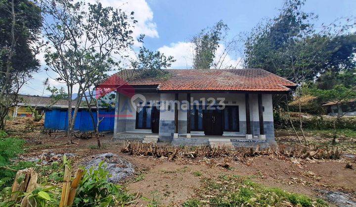 Dijual Tanah Bumiaji Kota Batu Pinggir Jalan Cocok Untuk Perkebunan  1