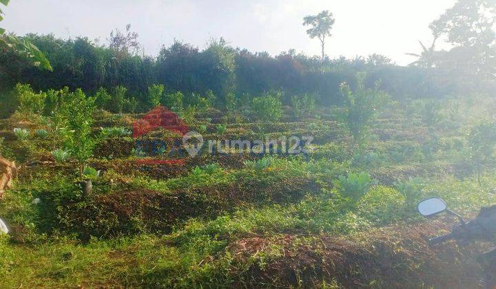 Dijual Tanah Dekat Apart Sama View Cocok Untuk Berkebun Kota Malang 1