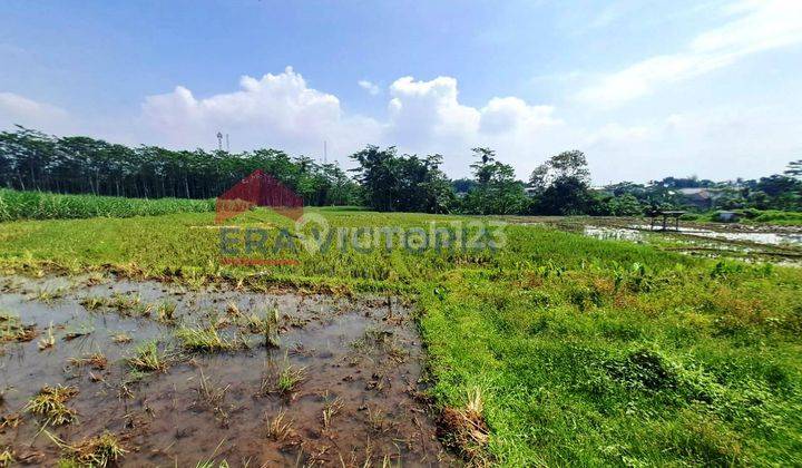 Dijual Tanah Daerah Wagir Cocok Untuk Pertanian,tanah Subur Kab Malang 1