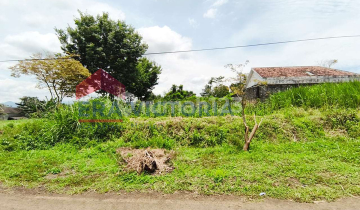 Tanah Kavling Siap Bangun Perumahan Nyaman Dekat Tol Kota Malang Tanah Kavling Siap Bangun Perumahan Nyaman Dekat Tol Kota Malang