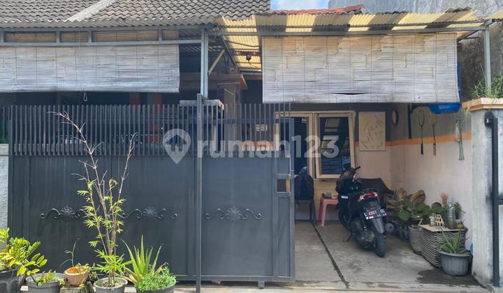 Auction Sale of Golden Berry House in Menganti