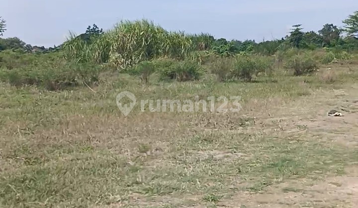 Jual Tanah Zona Industri Di Prambon Sidoarjo