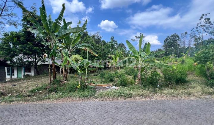 Jual Via Lelang Tanah 2 Bidang di Prigen Pasuruan