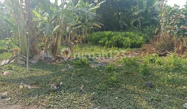 Jual Tanah Murah Harga NJOP di Siwalankerto Cocok untuk Rumah Kos. Mini Cluster