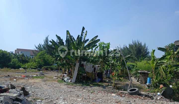 For Sale Via Auction Land Gayung Kebonsari Jambangan Surabaya For Sale Via Auction Land Gayung Kebonsari Jambangan Surabaya