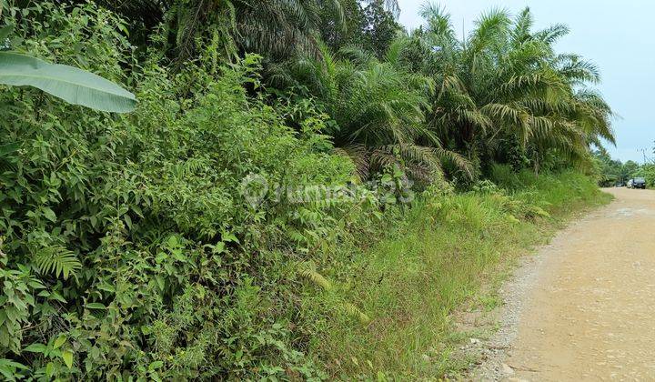 Investasi tanah dekat IKN murah Tanah SHM 4