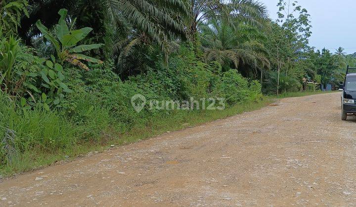 Investasi tanah dekat IKN murah Tanah SHM 5
