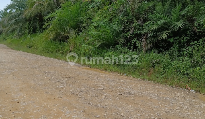 Investasi tanah dekat IKN murah Tanah SHM 6