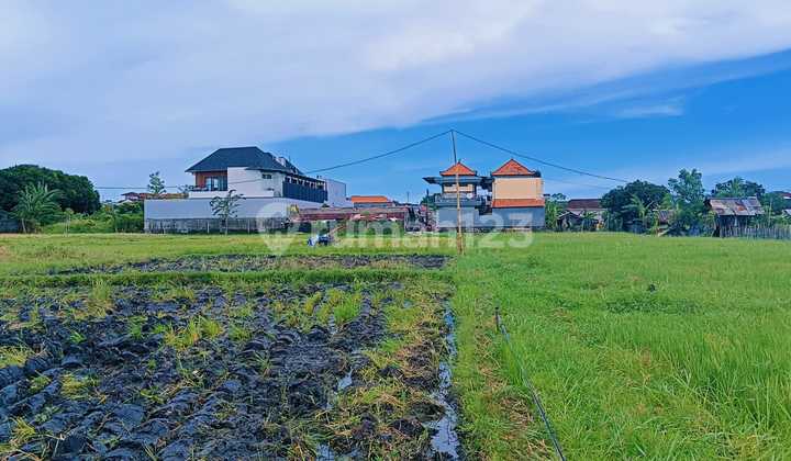 DIJUAL TANAH KAVLING BEBAS BANJIR DI PUSAT KOTA DENPASAR 1