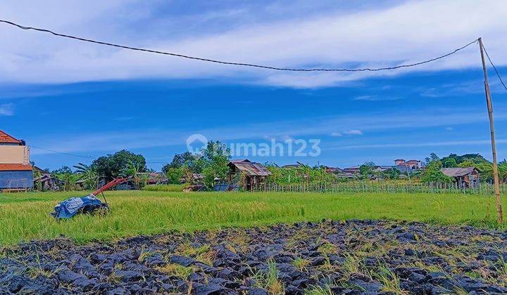 DIJUAL TANAH KAVLING BEBAS BANJIR DI PUSAT KOTA DENPASAR 4