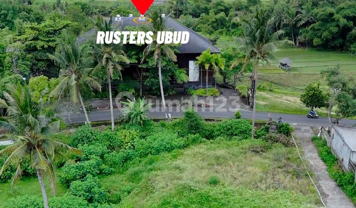 Land Plot Near Ruster and Central Ubud