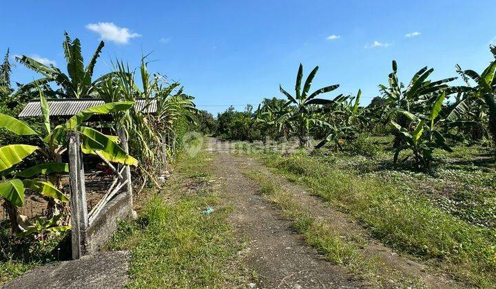 Cheap Land, Yellow Stripe, Near Pepito, Mie Gacoan In Tabanan 2