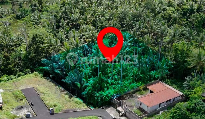 Tanah Kavling Dekat Ruster dan Central Ubud