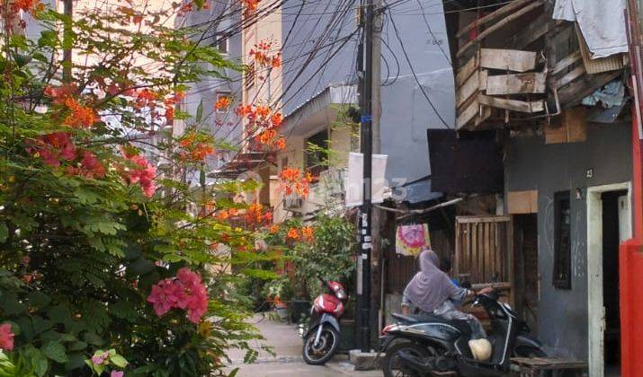 Dijual Rumah Pademangan Barat, Jalan Ampera, Jakarta Utara,  2