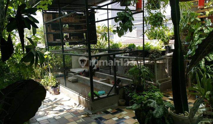 Dijual Rumah Grogol, Jakarta Barat 2