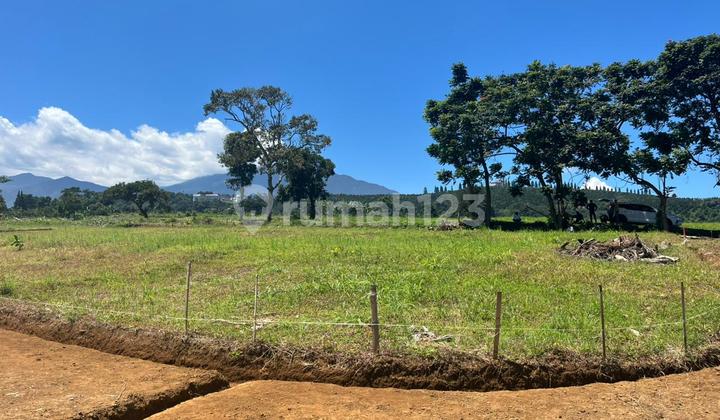 Tanah Dijual 500M2 Cisarua Puncak Bogor