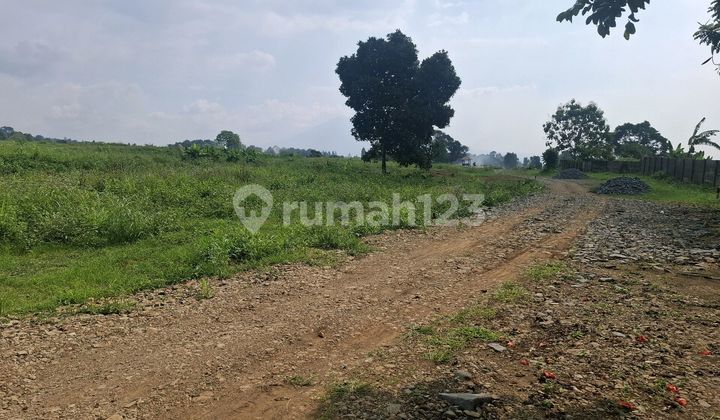 Tanah Murah 1000 M2 Puncak Bogor Tanah Murah 1000 M2 Puncak Bogor