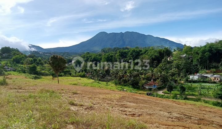 Tanah Dijual Murah Shm 500m2 Cisarua Puncak Bogor di Sedjoek Pesona SNA, Jl. Bumi Susi RT.03/RW.07, Citeko, Cisarua, Bogor, Jawa Barat, Indonesia, 16750, Cisarua