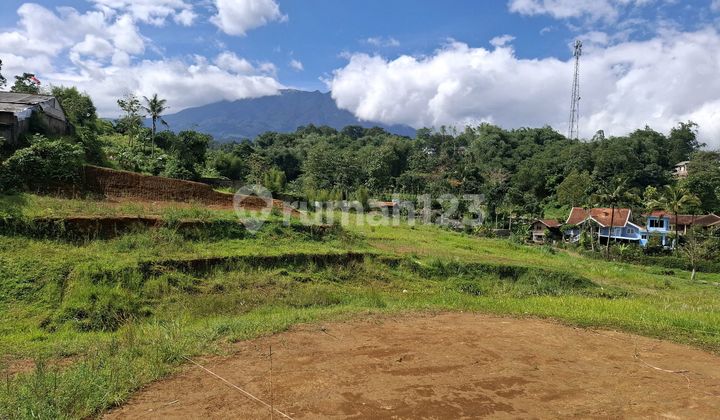 Tanah Murah Shm 300m2 Cisarua Puncak Bogor Tanah Murah Shm 300m2 Cisarua Puncak Bogor