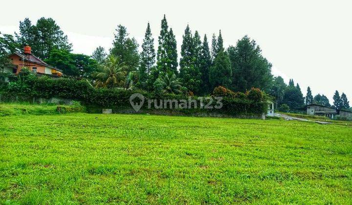 Tanah SHM megamendung puncak bogor Jawa Barat mega greeb land 1