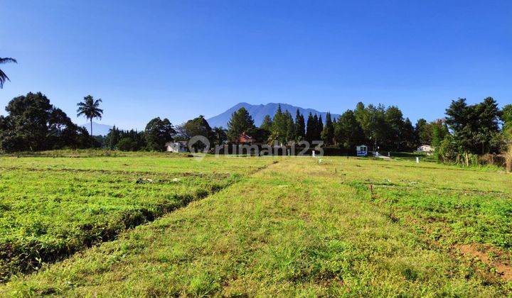 Tanah SHM megamendung puncak bogor Jawa Barat mega greeb land 6