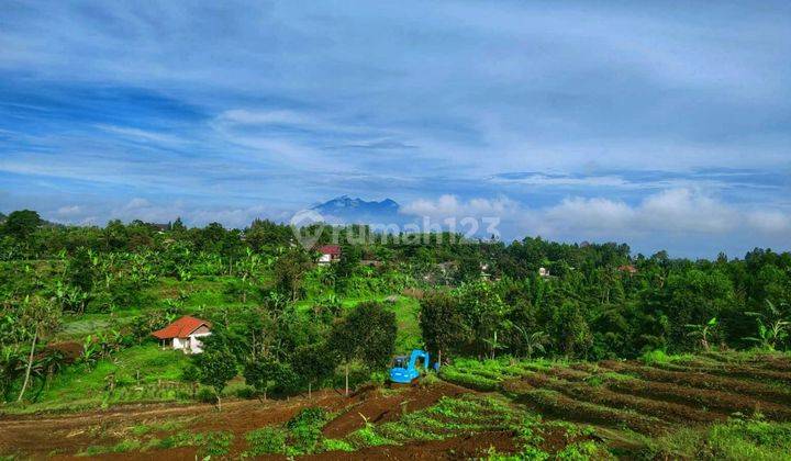 Tanah SHM Cisarua puncak Bogor Jawa barat  1