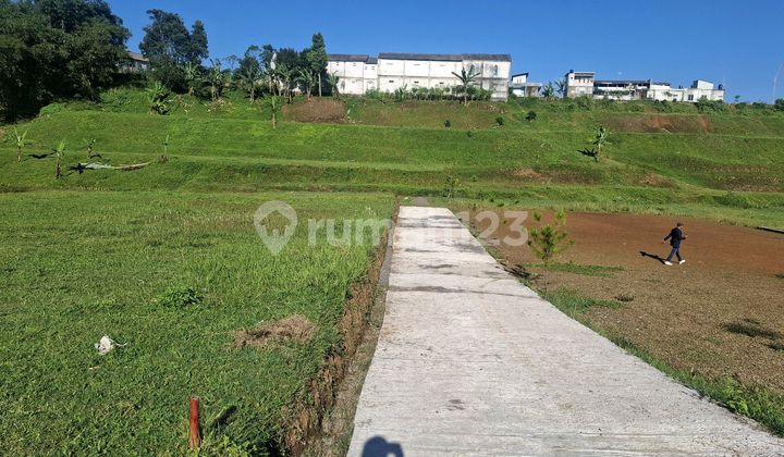 Tanah SHM Megamendung Puncak Bogor di Kopi Munjul, Jl. Munjul, Sukamanah, Megamendung, Bogor, Jawa Barat, Indonesia, 16770, Megamendung