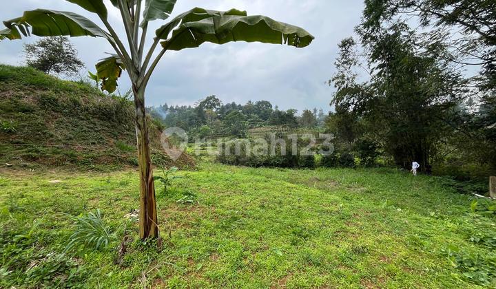 Tanah Murah Shm 500m2 Megamendung Puncak Bogor di Jl. Pesantren Lembah Arafah No. 140, Kuta, Megamendung, Bogor, Jawa Barat, Indonesia, 16770, Megamendung