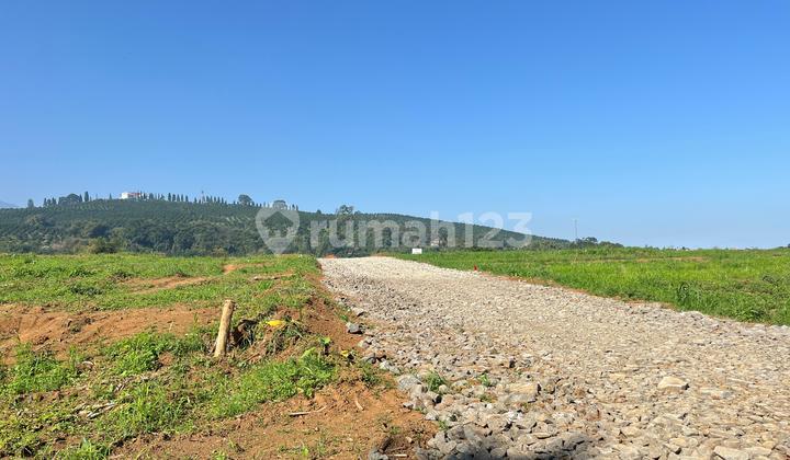 Tanah Murah Shm Mutiara Puncak Bogor di The Green Peak Hotel & Convention, Jl. Arion No.49, Kopo, Cisarua, Bogor, Jawa Barat, Indonesia, 16750, Cisarua Tanah Murah Shm Mutiara Puncak Bogor di The Green Peak Hotel & Convention, Jl. Arion No.49, Kopo, Cisarua, Bogor, Jawa Barat, Indonesia, 16750, Cisarua