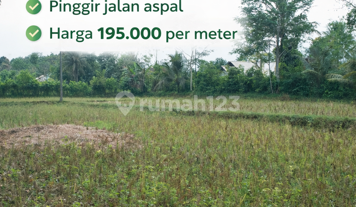 Tanah Murah SHM Sukabumi Surade