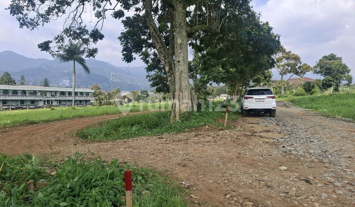 Tanah Istimewa Cisarua Puncak Bogor di The Green Peak Hotel & Convention, Jl. Arion No.49, Kopo, Cisarua, Bogor, Jawa Barat, Indonesia, 16750, Cisarua