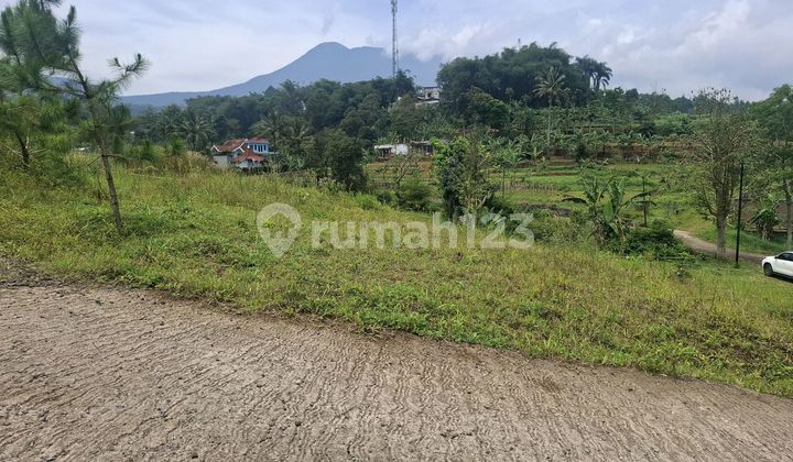 Jual Tanah Shm 560 M2 Cisarua Puncak Bogor di Jl. Desa Citeko No. 49, Kopo, Cisarua, Bogor, Jawa Barat, Indonesia, 16750, Cisarua Jual Tanah Shm 560 M2 Cisarua Puncak Bogor di Jl. Desa Citeko No. 49, Kopo, Cisarua, Bogor, Jawa Barat, Indonesia, 16750, Cisarua