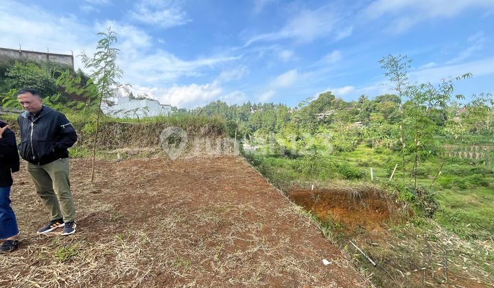 Tanah Murah 500m2 Megamendung Puncak Bogor di Jl. Pesantren Lembah Arafah No. 140, Kuta, Megamendung, Bogor, Jawa Barat, Indonesia, 16770, Megamendung Tanah Murah 500m2 Megamendung Puncak Bogor di Jl. Pesantren Lembah Arafah No. 140, Kuta, Megamendung, Bogor, Jawa Barat, Indonesia, 16770, Megamendung