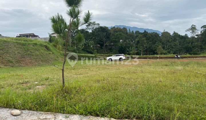 Tanah Murah Shm 500m2 Megamendung Puncak Bogor di KOPI MUNJUL, Jl. Munjul, Sukamanah, Megamendung, Bogor, Jawa Barat, Indonesia, 16770, Megamendung