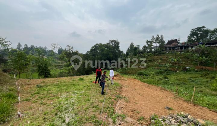 Tanah Murah Shm 300 M2 Megamendung Puncak Bogor Tanah Murah Shm 300 M2 Megamendung Puncak Bogor