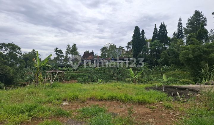 Tanah Murah 500 M2 Puncak Bogor di Jl. Pesantren Lembah Arafah No. 140, Kuta, Megamendung, Bogor, Jawa Barat, Indonesia, 16770, Megamendung