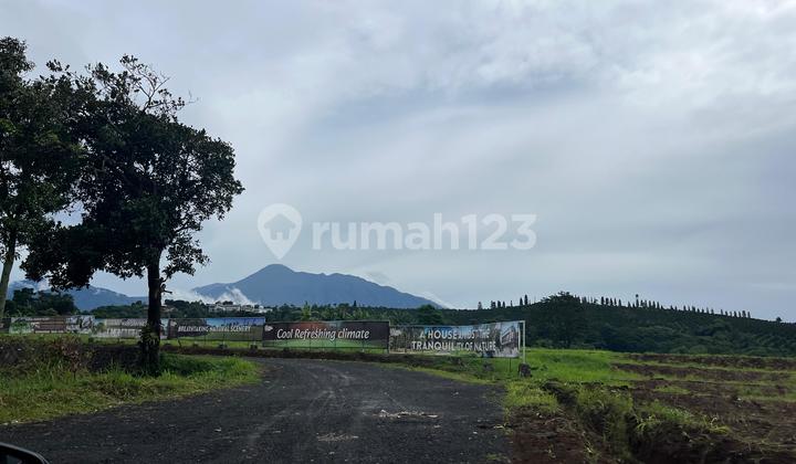 Tanah Dijual View Istimewa Luas 1000M2 Cisarua Pumcak Bogor di The Green Peak Hotel & Convention, Jl. Arion No.49, Kopo, Cisarua, Bogor, Jawa Barat, Indonesia, 16750, Cisarua