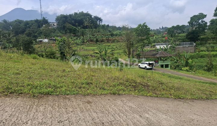 Jual Tanah Cisarua Puncak Bogor Shm Jual Tanah Cisarua Puncak Bogor Shm