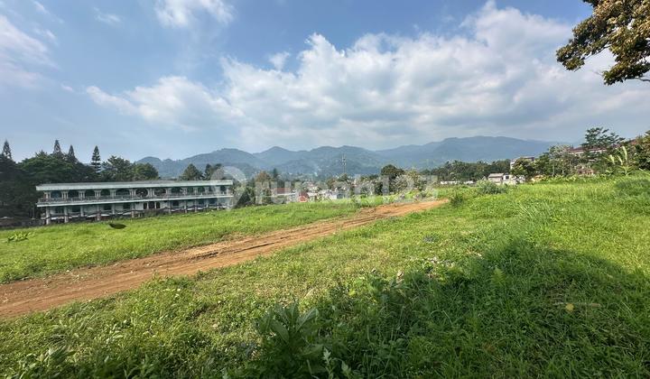 Tanah Murah 1000 M2 Puncak Bogor Tanah Murah 1000 M2 Puncak Bogor