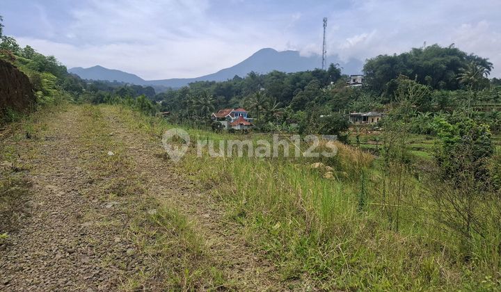 Tanah Murah Shm Cisarua Puncak Bogor Tlp/wa 08121983xxxx Tanah Murah Shm Cisarua Puncak Bogor Tlp/wa 08121983xxxx